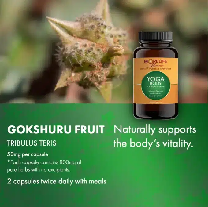 morelifemarket yoga body herbal
