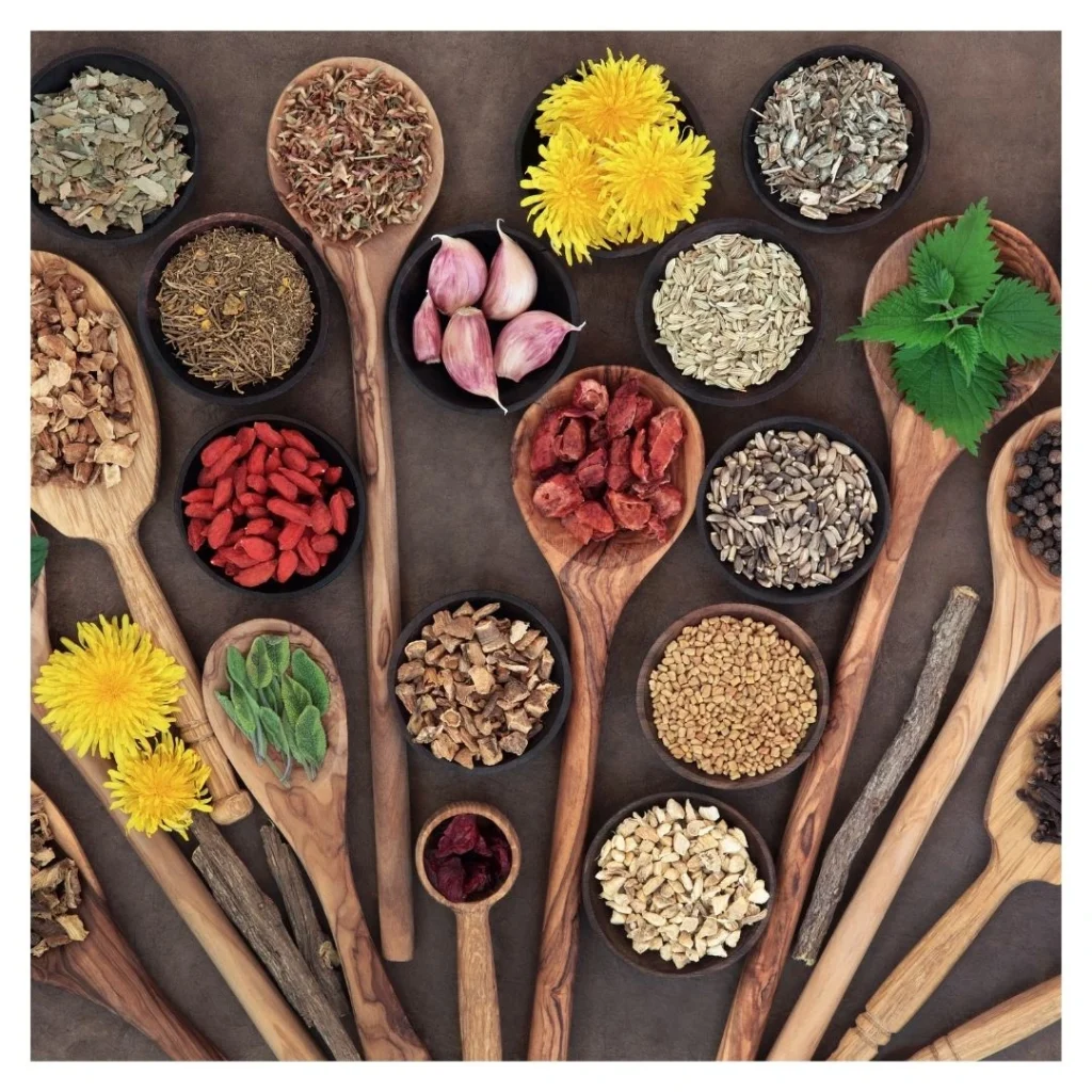 spoons with different spices and herbs