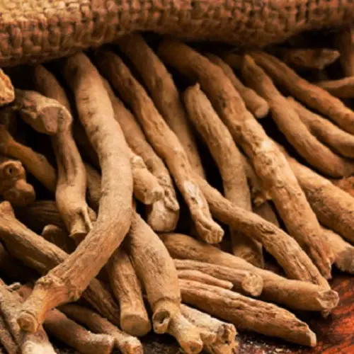 Ashwagandha Root