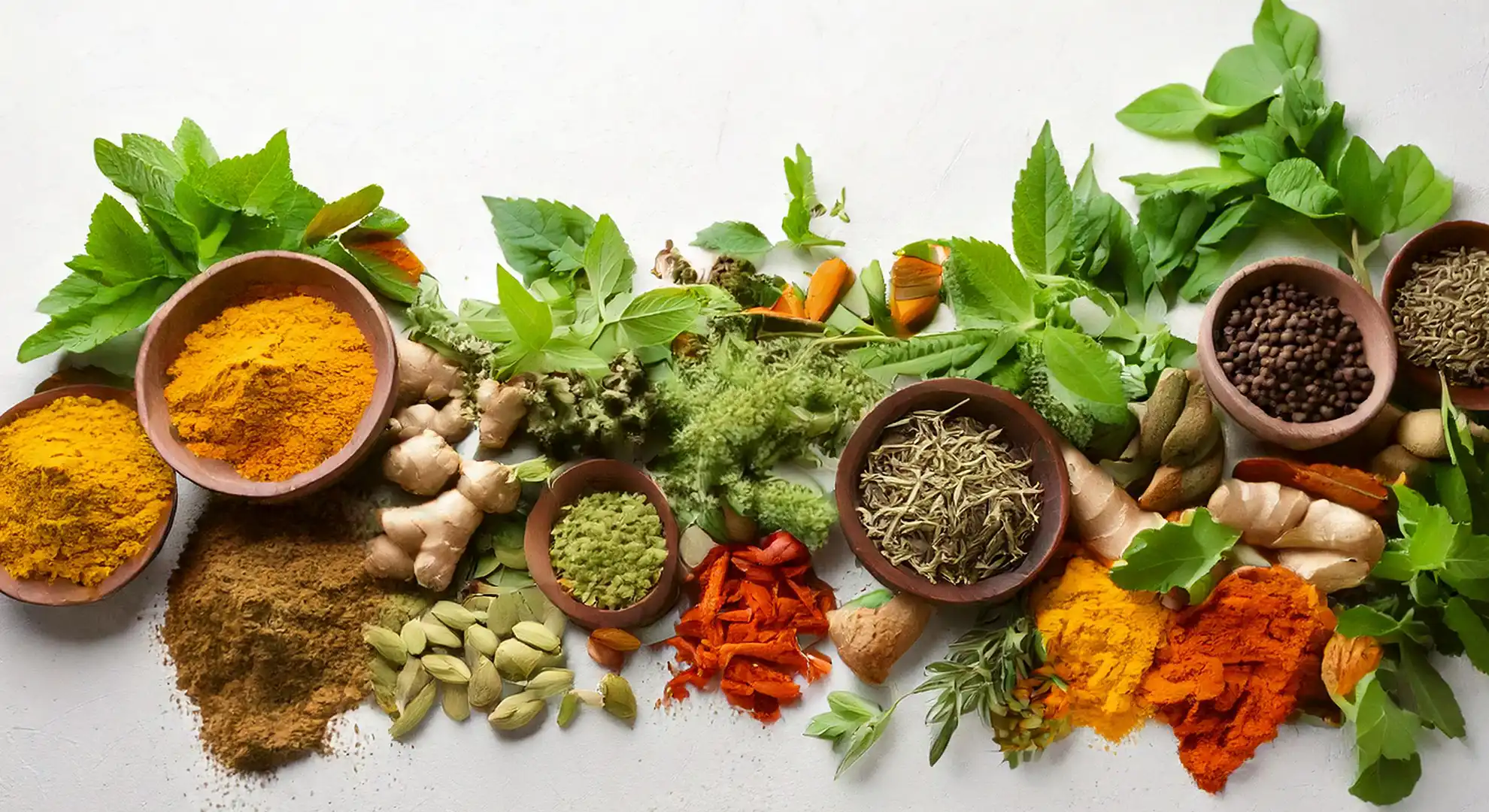 Ayurvedic Herbs and Spices